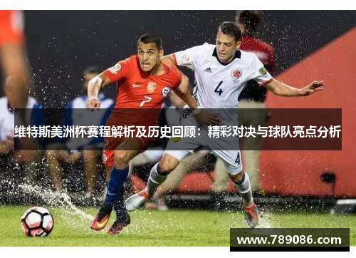 维特斯美洲杯赛程解析及历史回顾：精彩对决与球队亮点分析