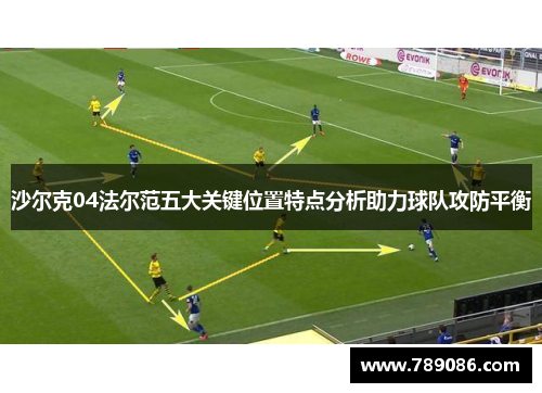 沙尔克04法尔范五大关键位置特点分析助力球队攻防平衡